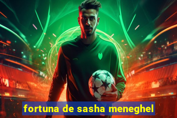 fortuna de sasha meneghel